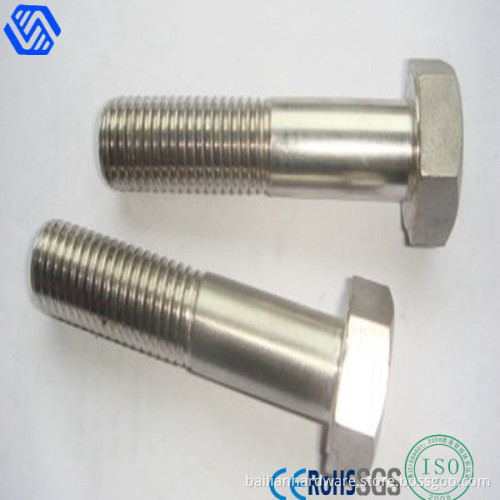 Stainless Steel Fastener Bolt 304